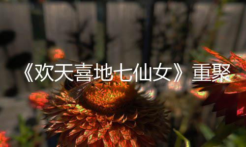 爷青天喜聚地七对王仙女牌欢回重直呼王牌网友