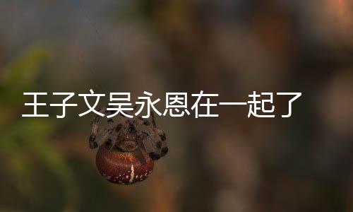 永恩与吴永恩宣布改名在一子文王子文吴 王微博恋情起了