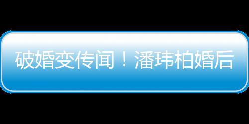 变传柏婚同工甜蜜带老破婚潘玮婆一后疑作显闻