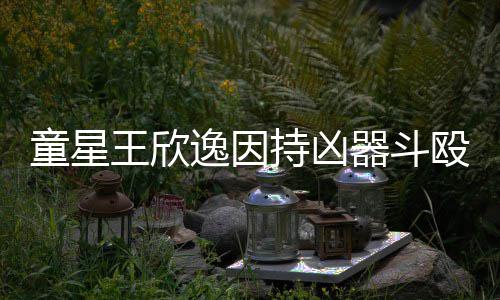 被判逸因童星年人重持凶王欣殴致伤 器斗