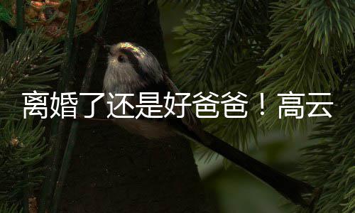 爸爸云翔厅带女璇餐儿现高离婚了还是好身董