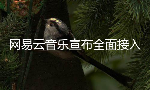 布全面接云音入O网易乐宣
