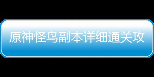 原神通关详细怪鸟攻略副本