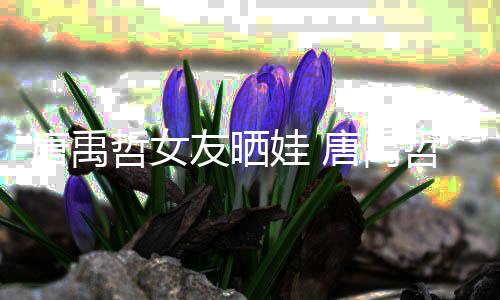吗友晒唐禹唐禹胎了哲女哲二娃