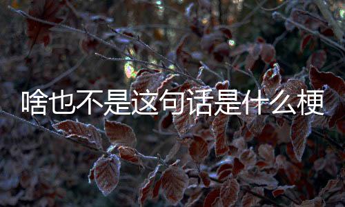 不是话是梗这句啥也什么