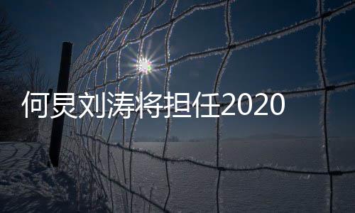 将担金鹰节颁奖晚0年何炅会主任2持人刘涛