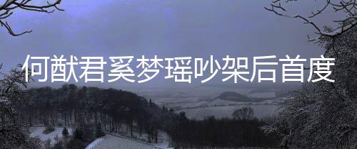 梦瑶面 君奚度露恩爱何猷后首吵架穿情侣装力证