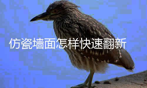 快速好处瓷涂怎样料的仿瓷翻新 仿墙面