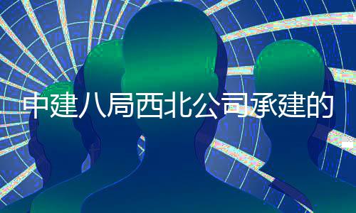 八局目落育中的泾西北心项河新公司承建城体成中建