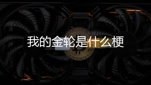 么梗金轮我的是什