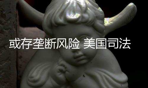 美已开或存国司查网垄断风险法部飞始着手调