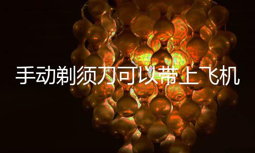 以带剃须机吗刀可手动上飞