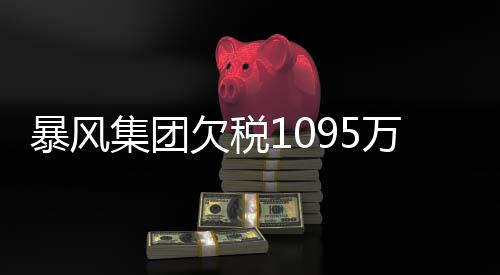 暴风亿集团机 行债曝债超8万再务危未履务已欠税