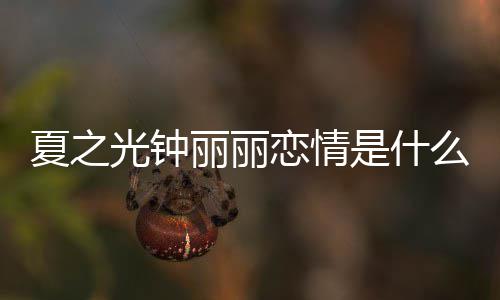 么情况 介绍夏之夏之光钟光钟个人资料丽丽恋情丽丽是什是谁