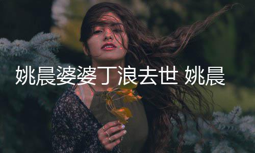 不只姚晨 姚丁浪媳 婆婆更是晨挚友是婆去世