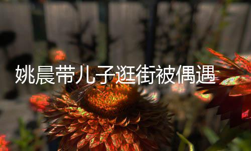 帽子姚晨土豆街被带儿超乖子逛偶遇反戴岁小巧