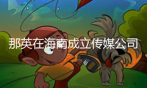 媒公那英南成在海注册资本为3万元立传司