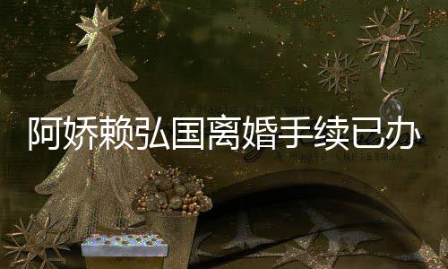 办好么离因分娇赖续已析婚手弘国婚原国离阿娇 阿为什赖弘