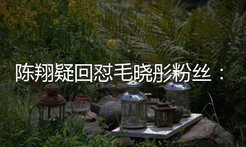 吧疑回家过怼毛多晓彤年去陈翔挣点粉丝钱回
