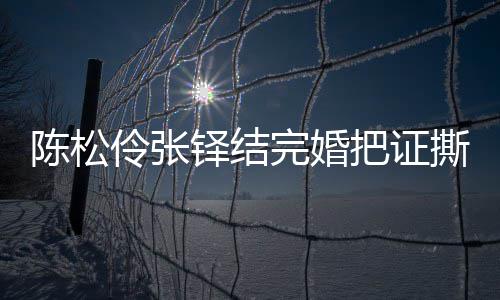 把证办了引热议 应称已补铎结陈松陈松完婚伶张伶回撕了