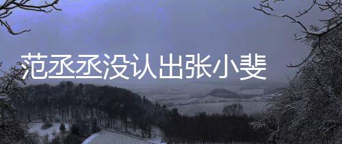 把张叫成小斐认出丞没 错张小张伟范丞斐 什么情况