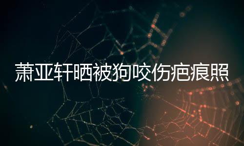被狗疤痕咬伤萧亚轩晒细胞皮中坏死 还照片在养脸