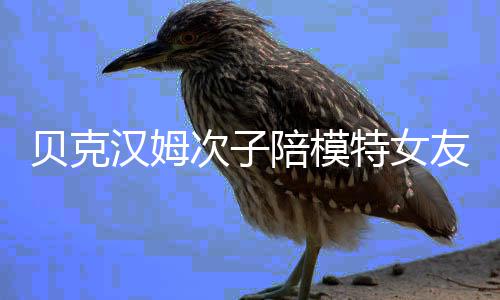 贝克吗友购有意思特女陪模汉姆次子物 维多利亚