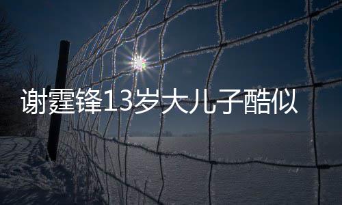 爸 柏芝拒绝大儿谢霆和张逛街子酷锋13岁似爸牵手