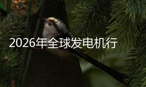 名业国及排电机行业先企年全内外规模领份额市场市场球发